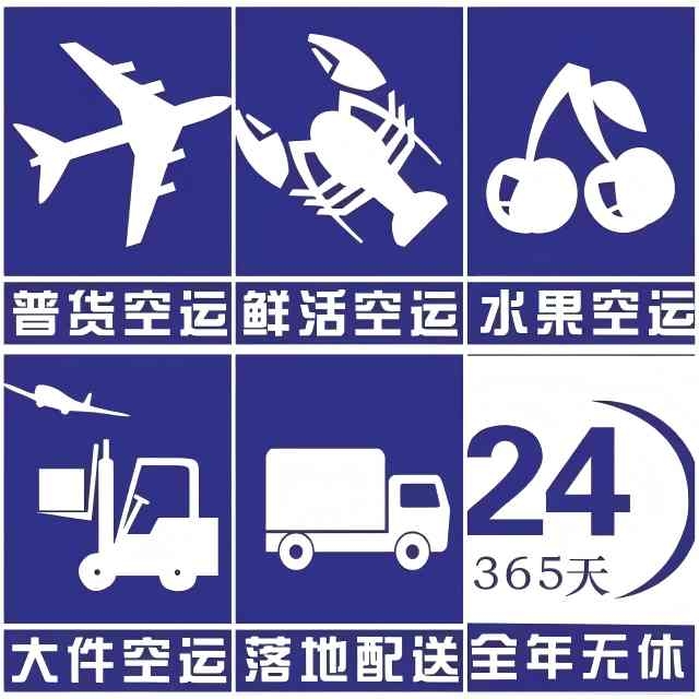 专业空运6小时航空运输服务